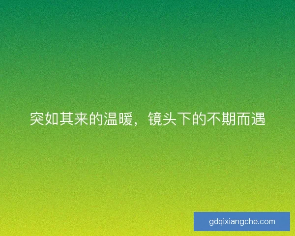 突如其来的温暖,镜头下的不期而遇 突如其来的温暖,镜头下的不期而遇