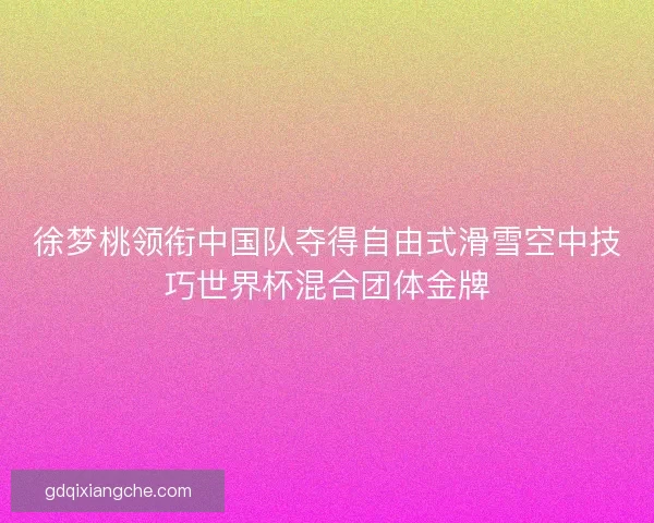 徐梦桃领衔中国队夺得自由式滑雪空中技巧世界杯混合团体金牌 徐梦桃领衔中国队夺得自由式滑雪空中技巧世界杯混合团体金牌